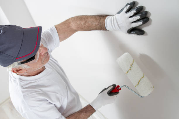 Best Black Mold Removal  in Eglin Af, FL