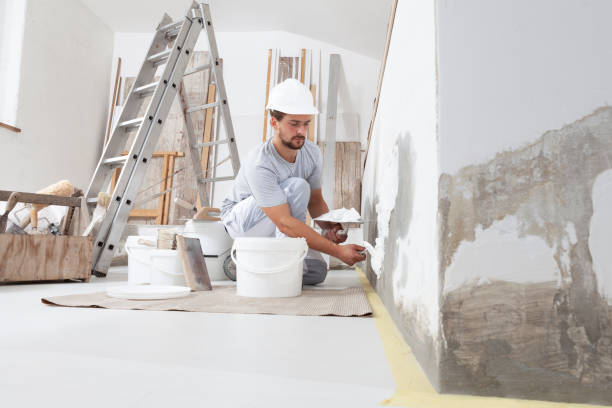 Best Basement Mold Removal  in Eglin Af, FL